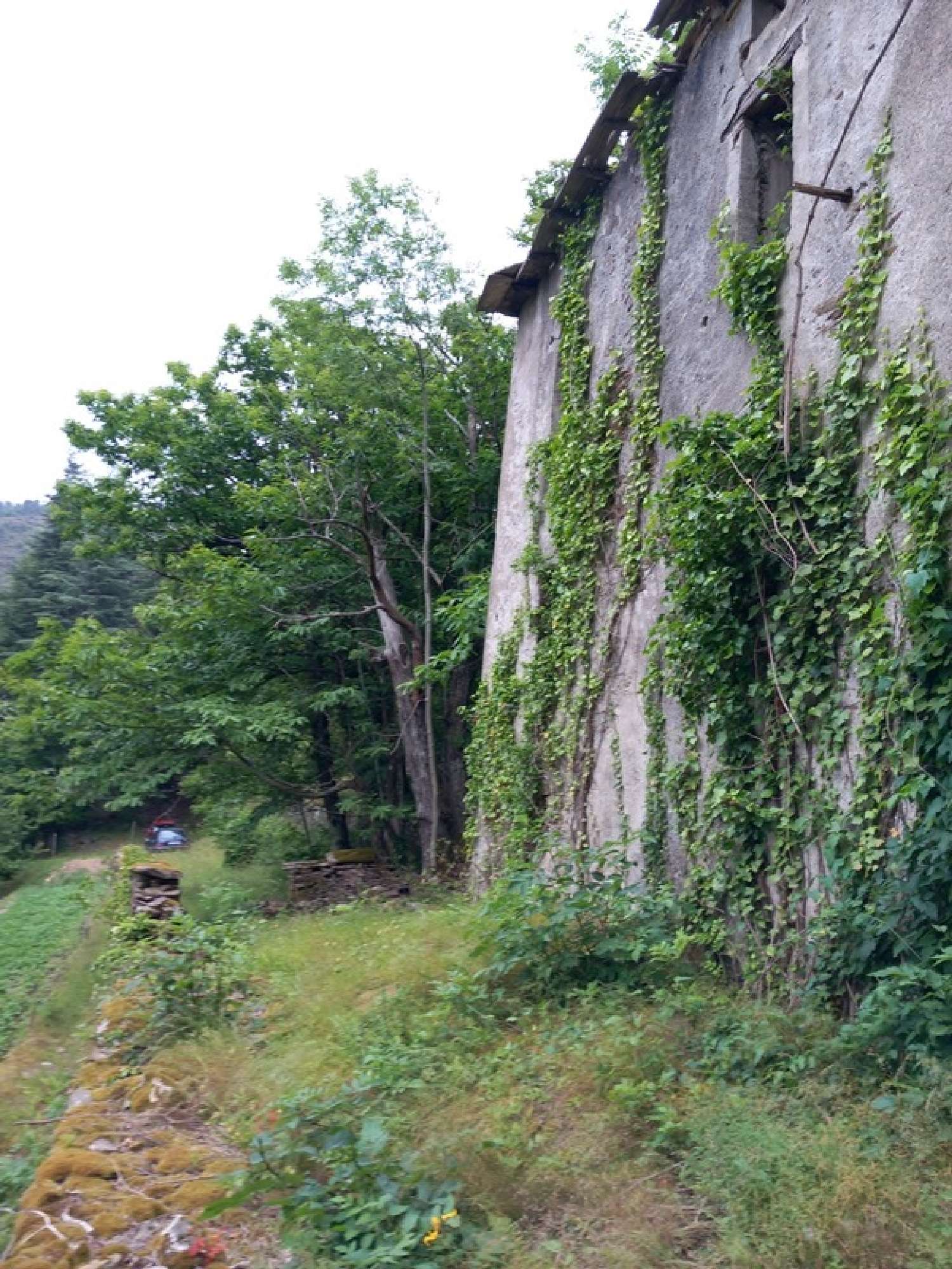  kaufen Haus Saint-André-de-Valborgne Gard 7