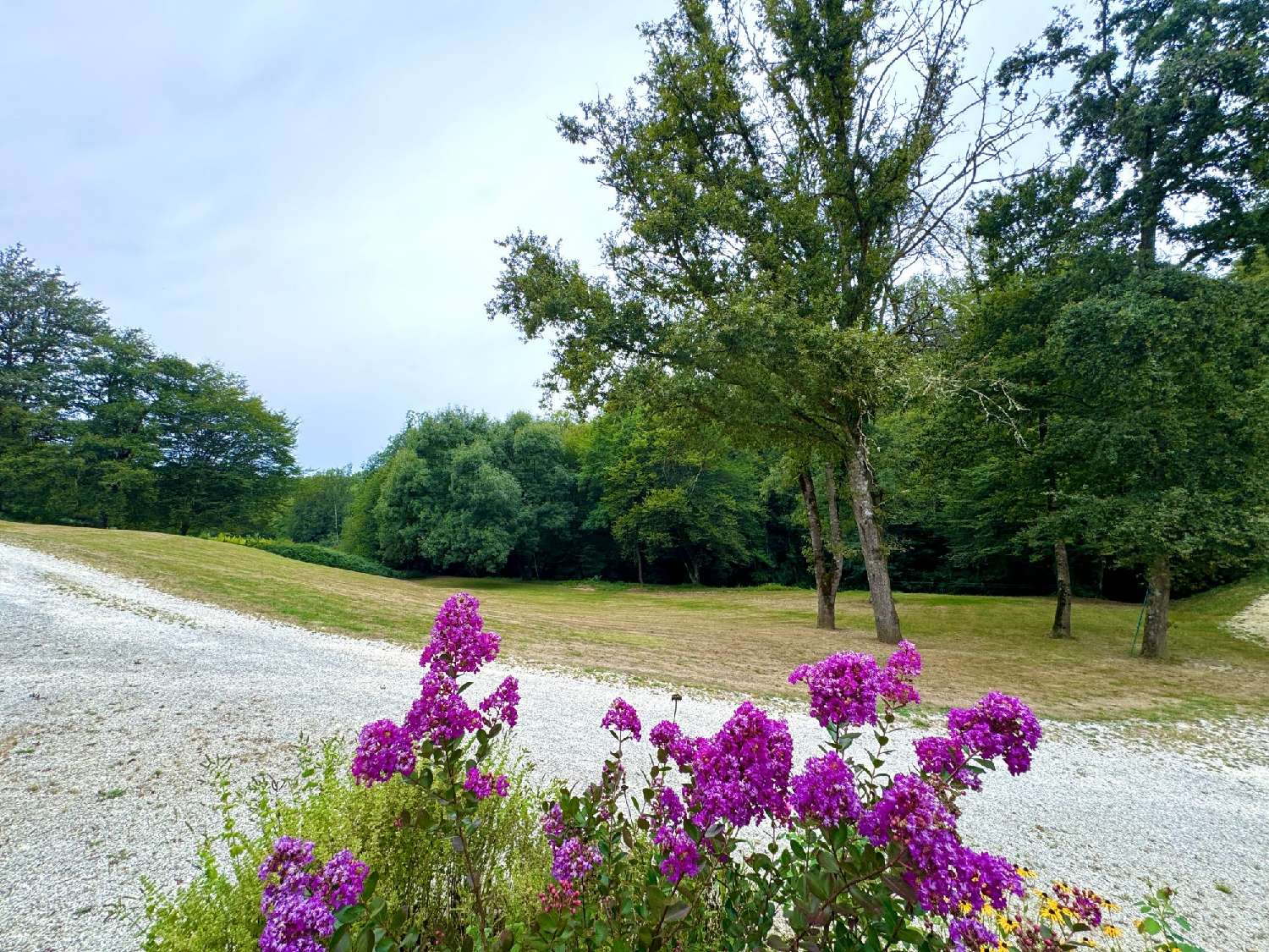  kaufen Haus Saint-Romain-et-Saint-Clément Dordogne 6