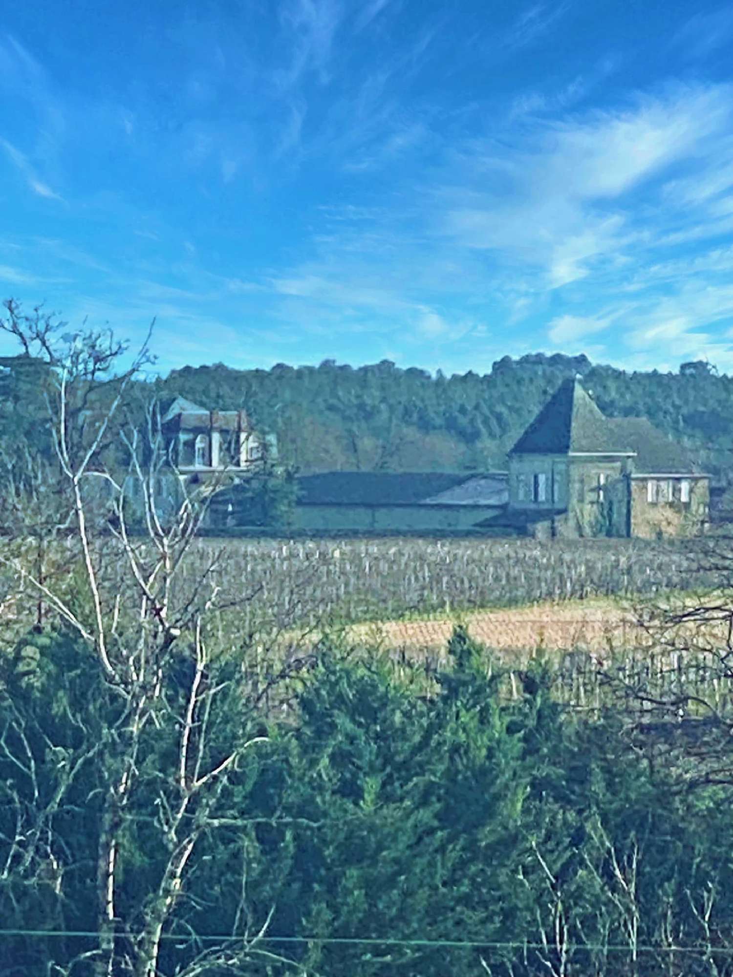  kaufen Haus Sauternes Gironde 3