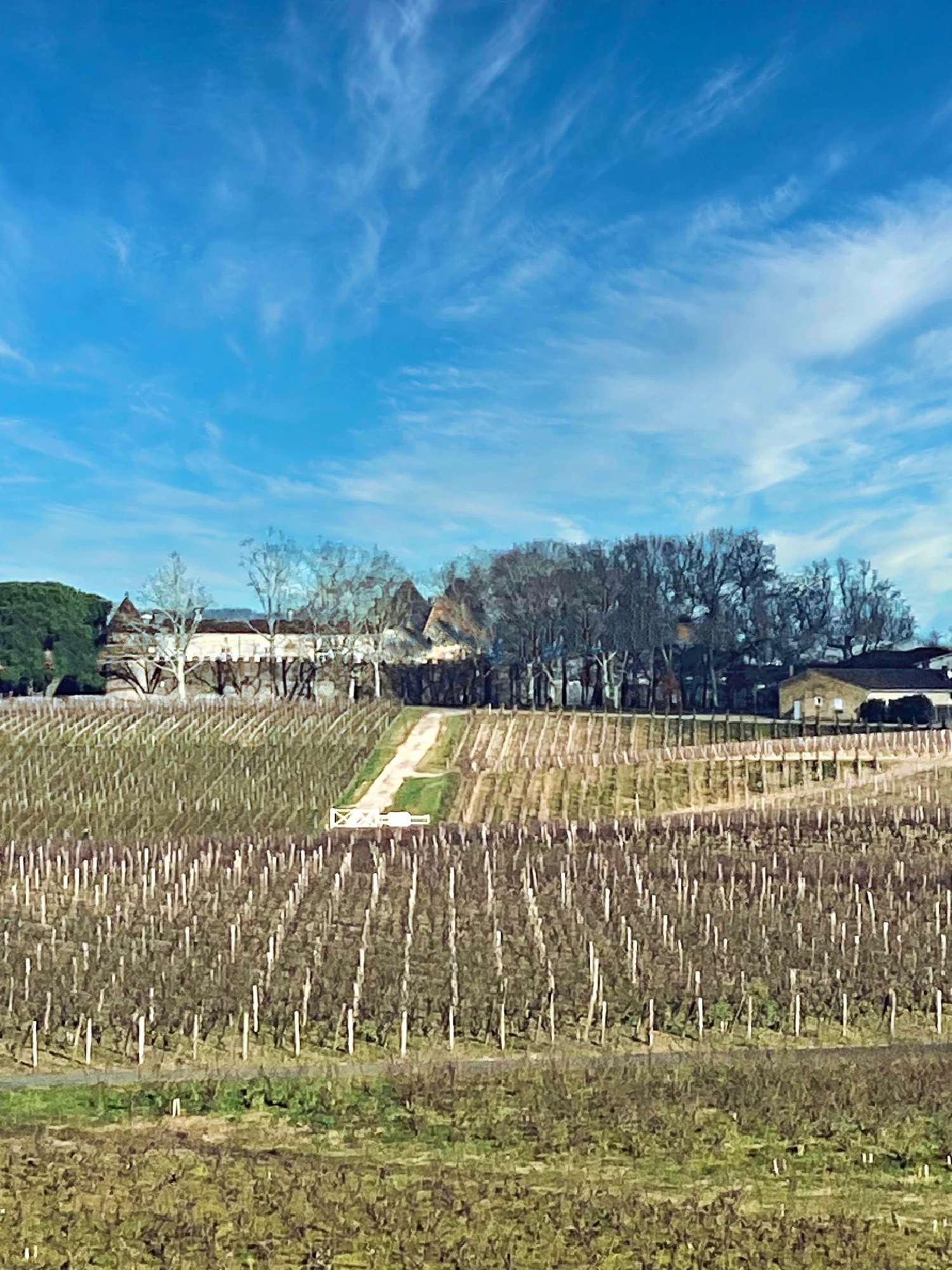  kaufen Haus Sauternes Gironde 7