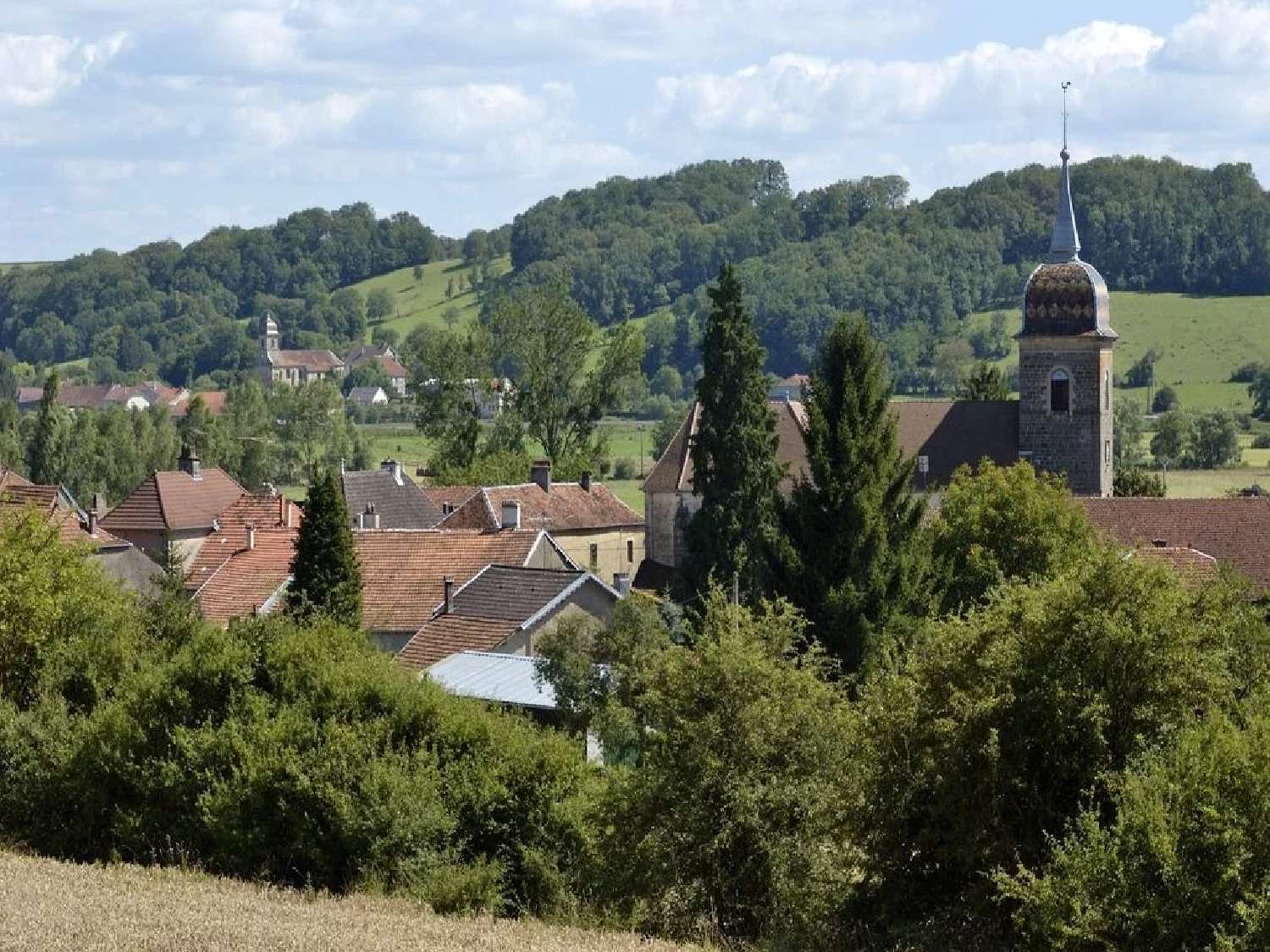  à vendre maison Vernois-sur-Mance Haute-Saône 2