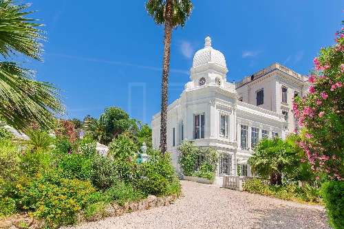 Cannes Alpes-Maritimes villa foto