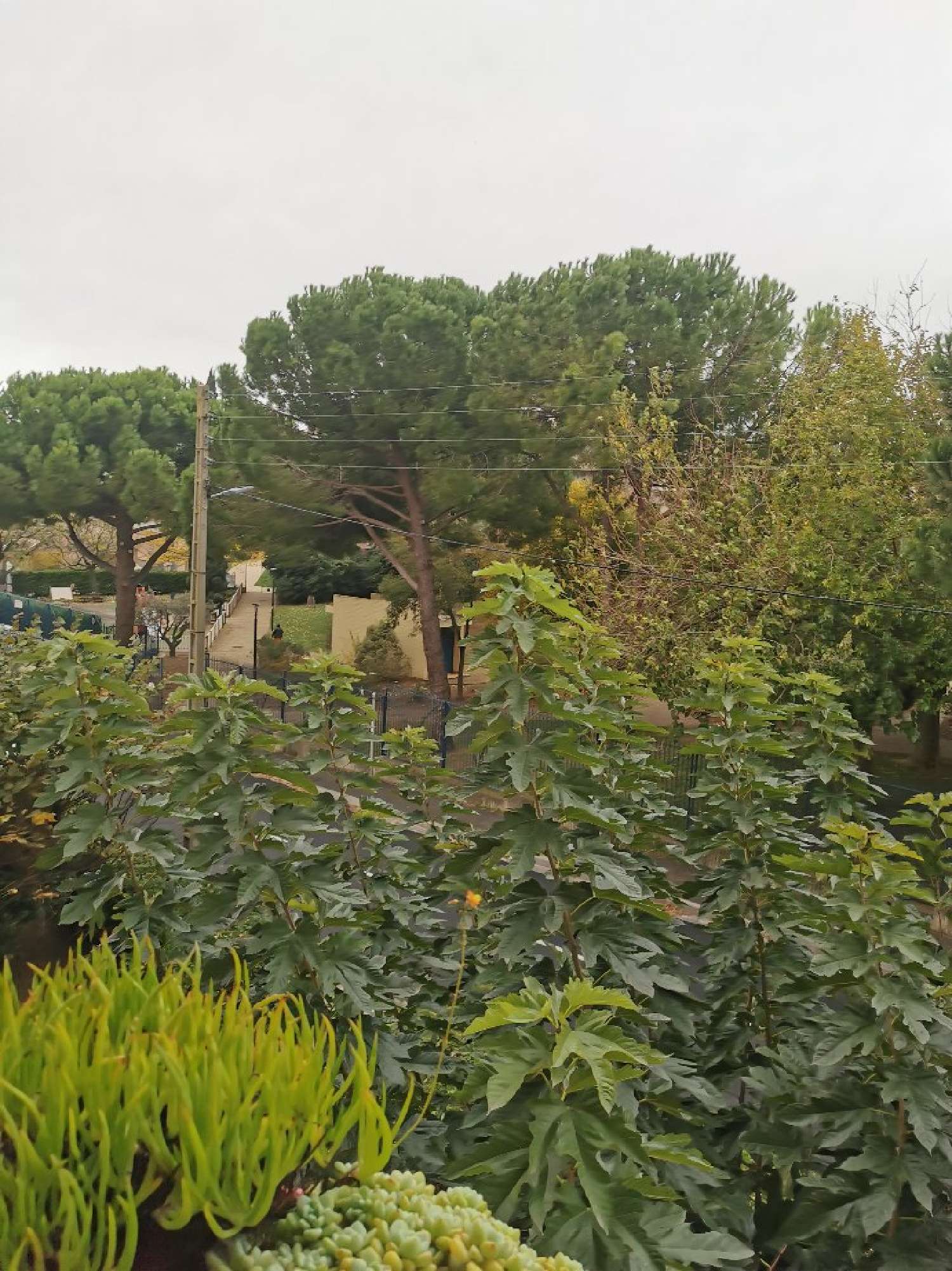  kaufen Wohnung/ Apartment Béziers Hérault 2