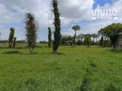  for sale farm Guer Morbihan 7
