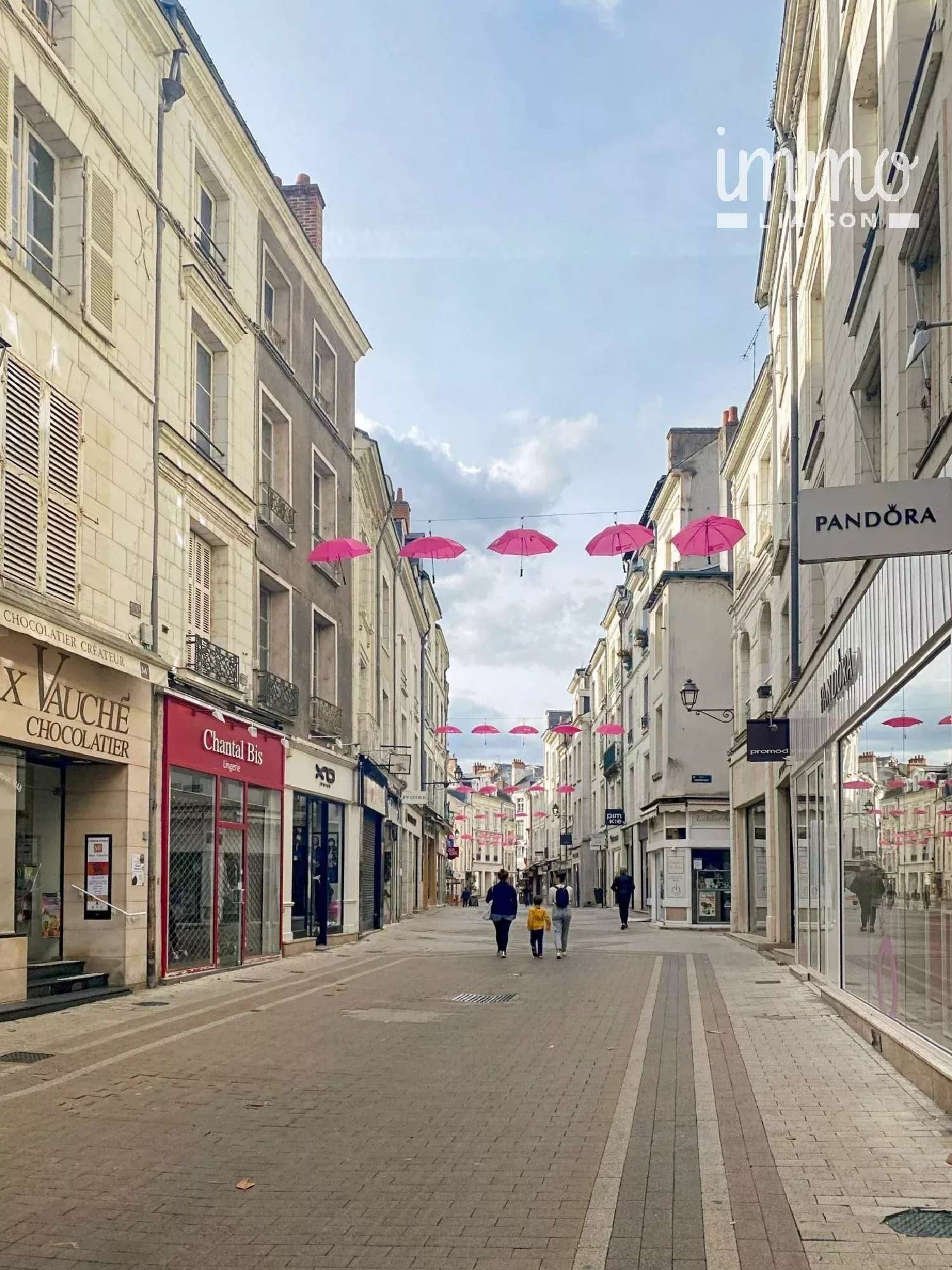  kaufen Haus Blois Loir-et-Cher 5