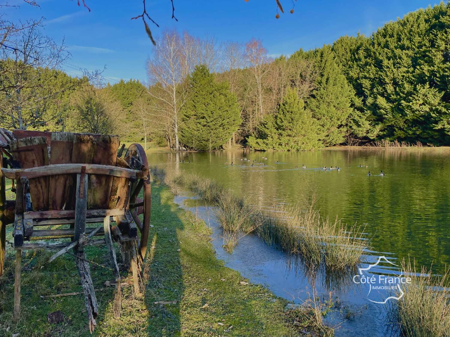  à vendre maison Quenne Yonne 6