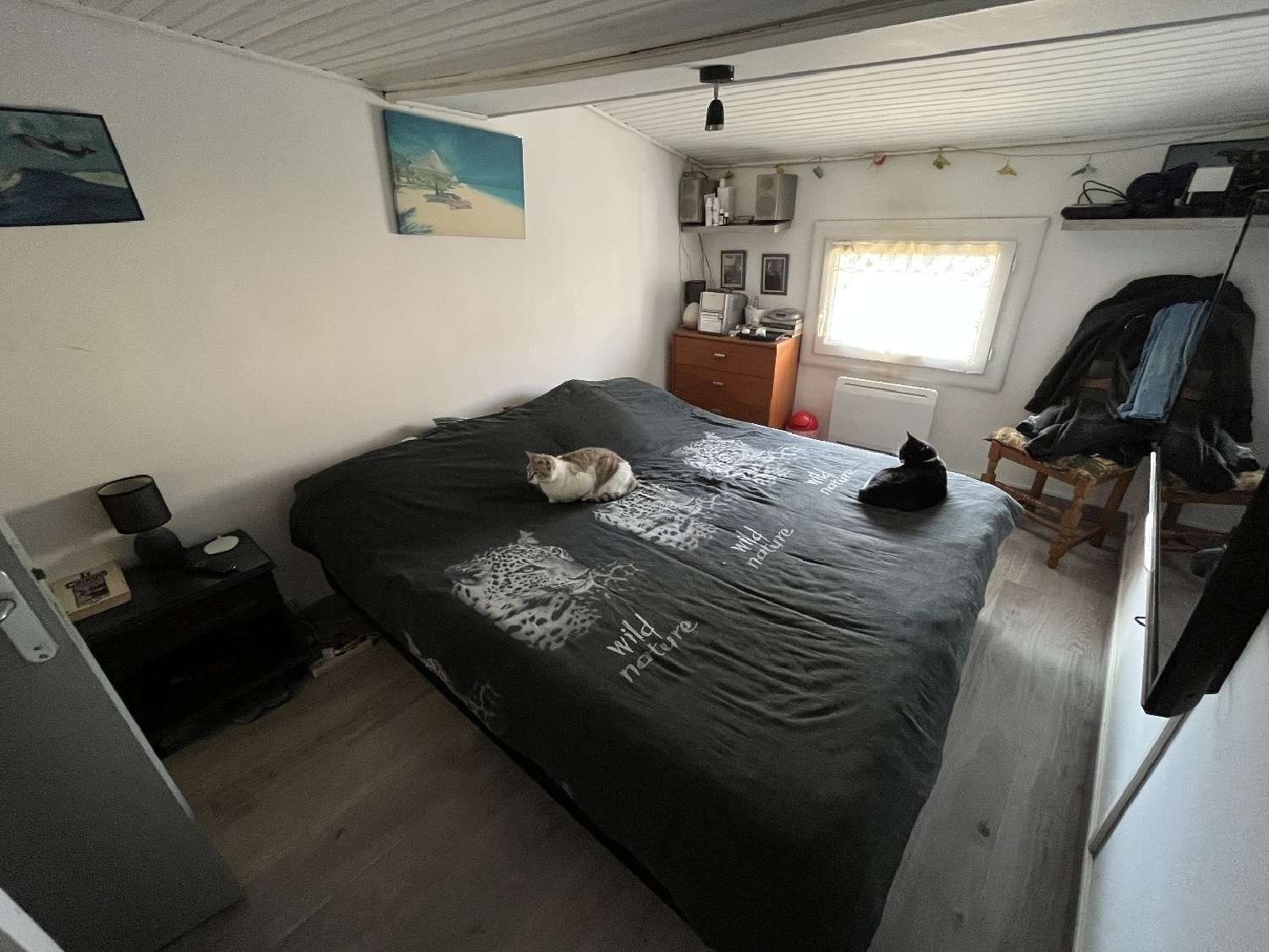  kaufen Haus Florensac Hérault 4