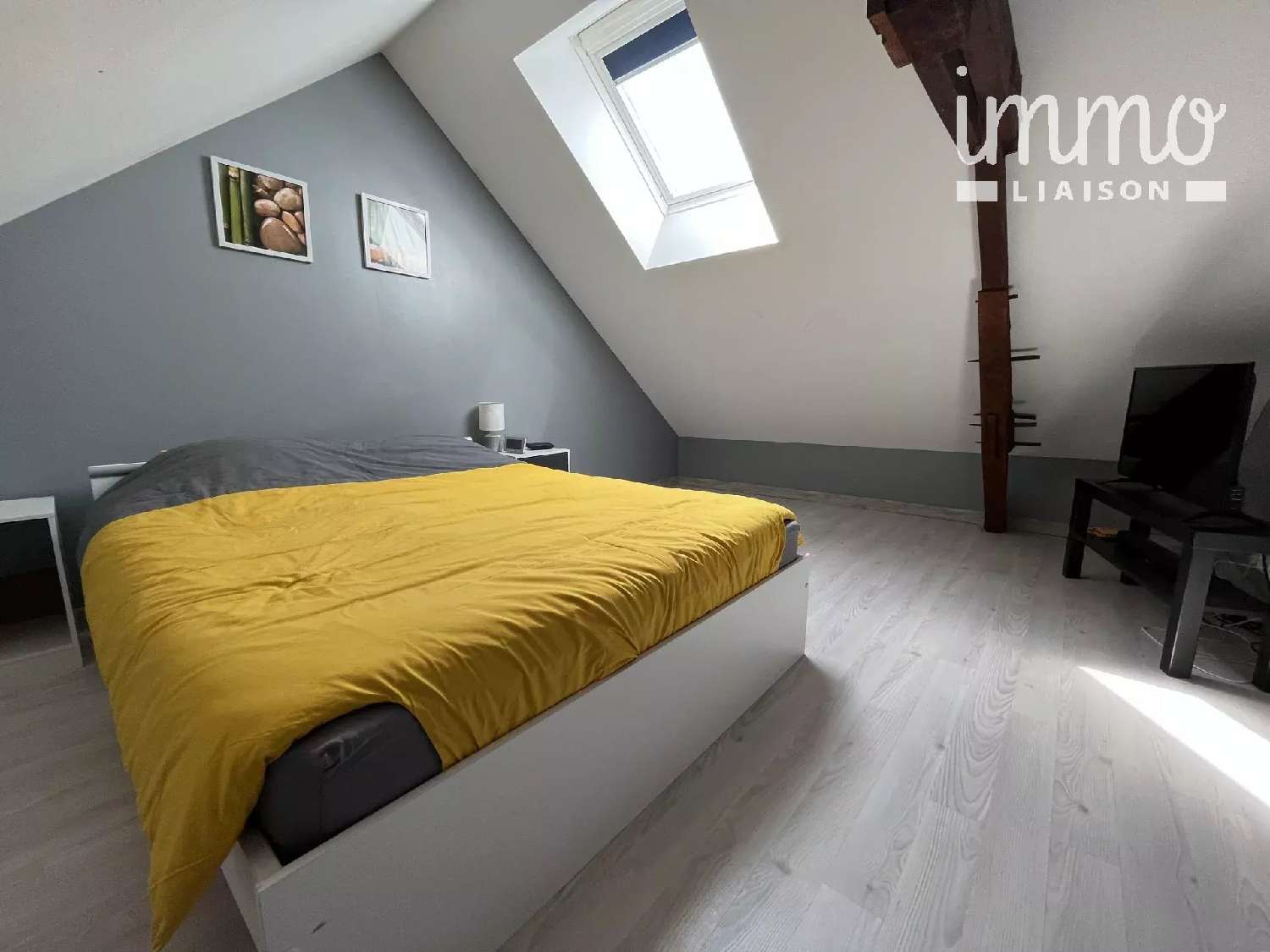 kaufen Haus La Meilleraye-de-Bretagne Loire-Atlantique 7