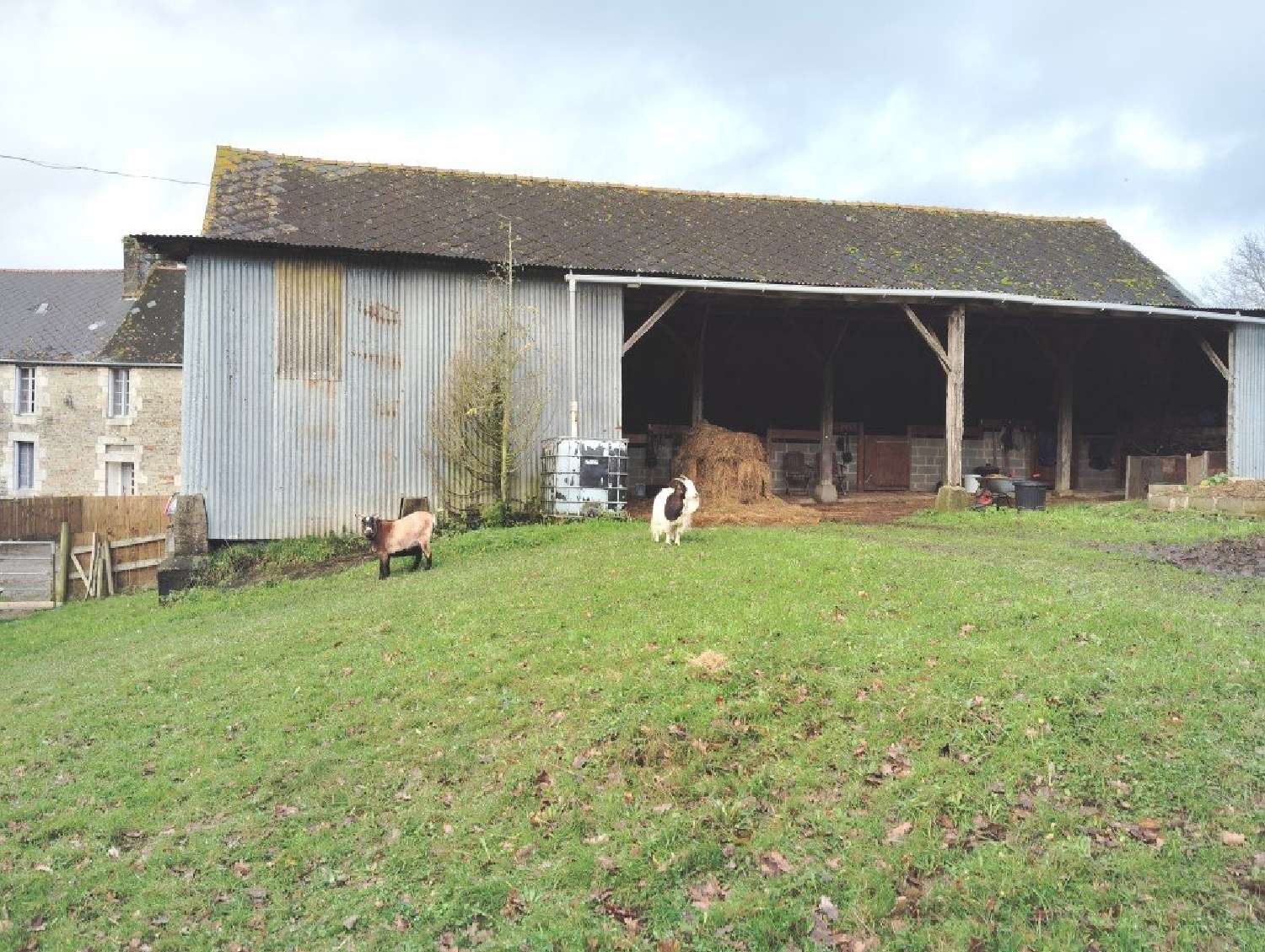  à vendre maison Merléac Côtes-d'Armor 7