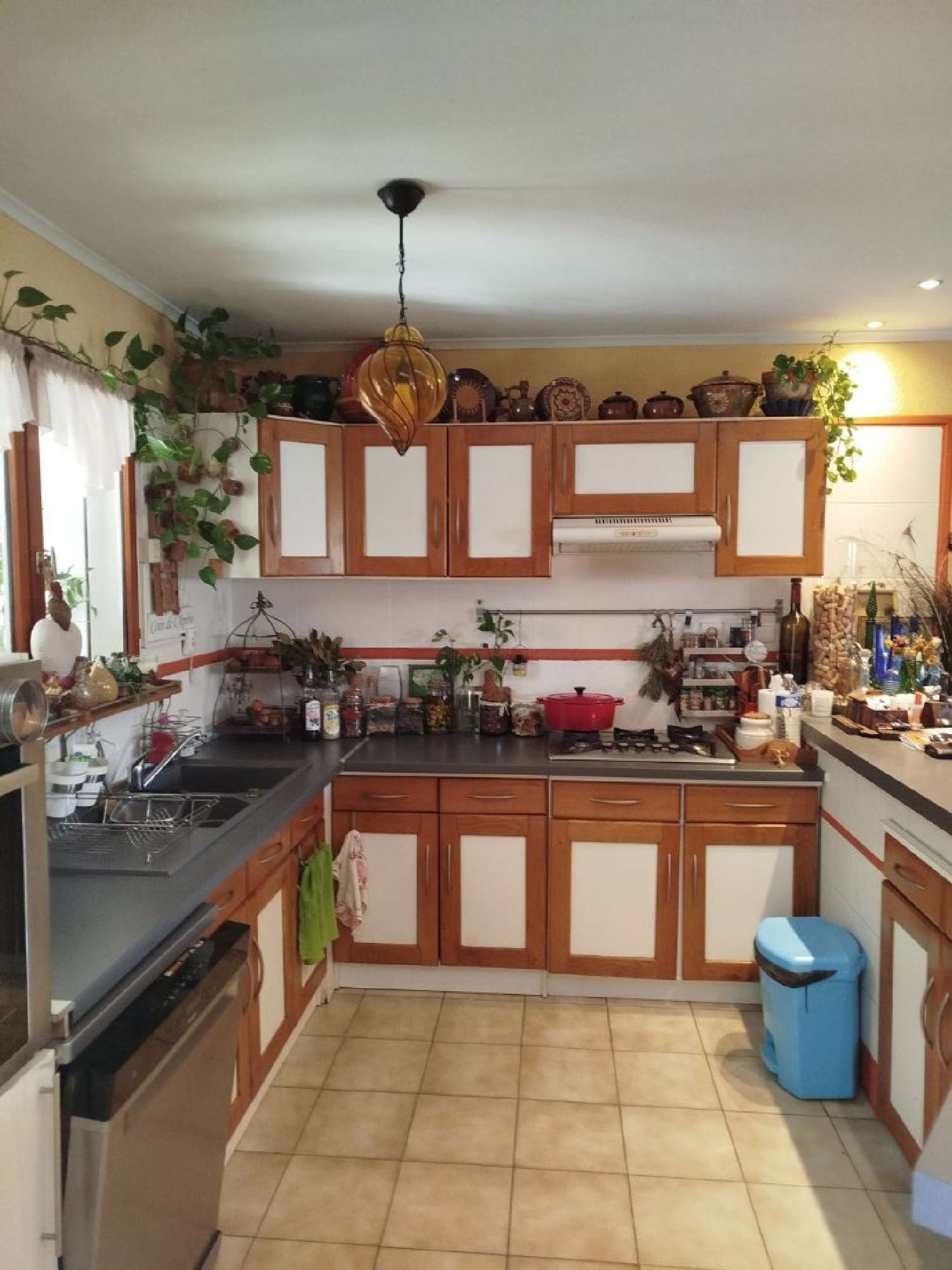  kaufen Haus Pomérols Hérault 6