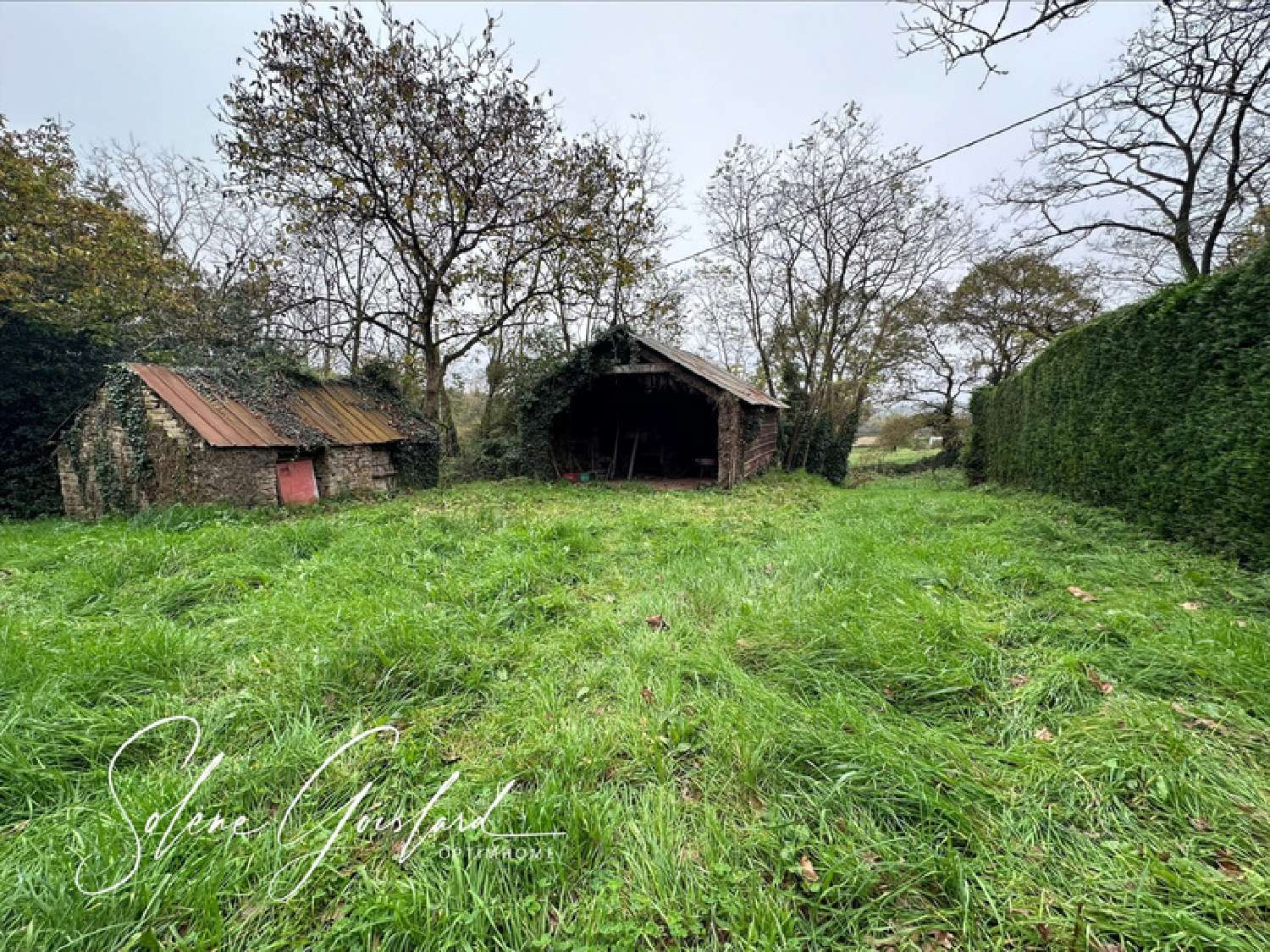  kaufen Haus Rieux Morbihan 2