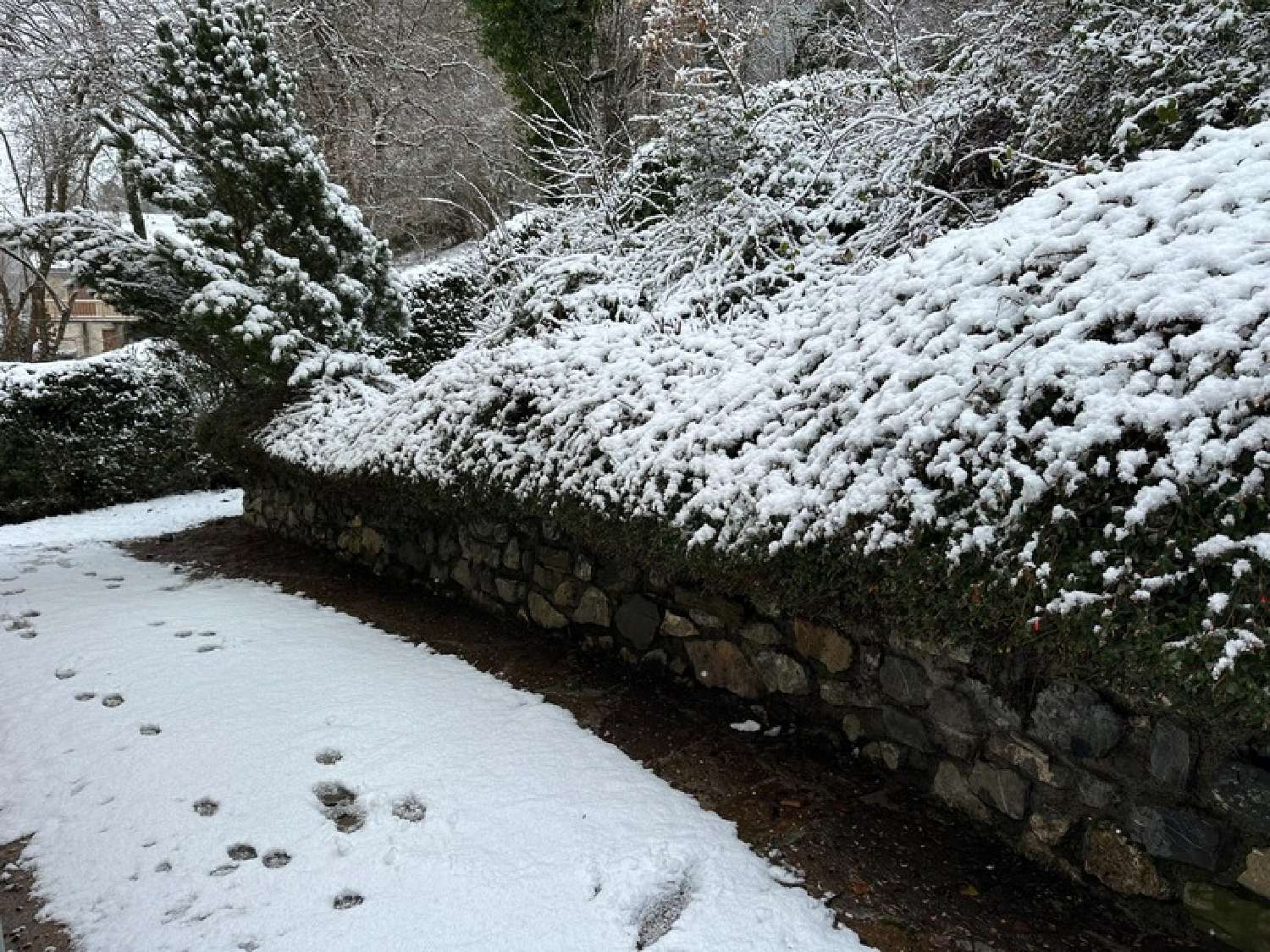  kaufen Haus Saint-Lary-Soulan Hautes-Pyrénées 6