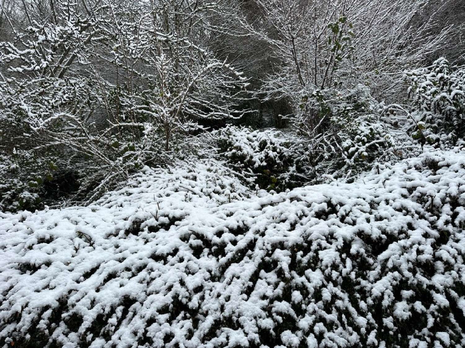  kaufen Haus Saint-Lary-Soulan Hautes-Pyrénées 7