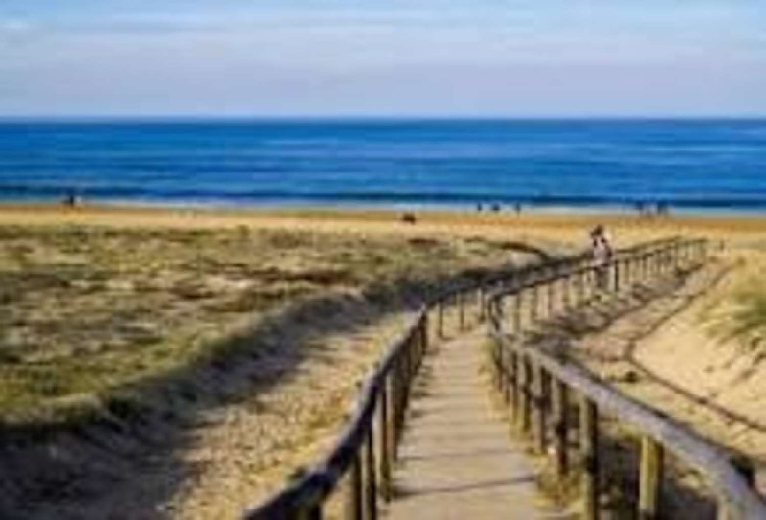 kaufen Haus Soorts-Hossegor Landes 1