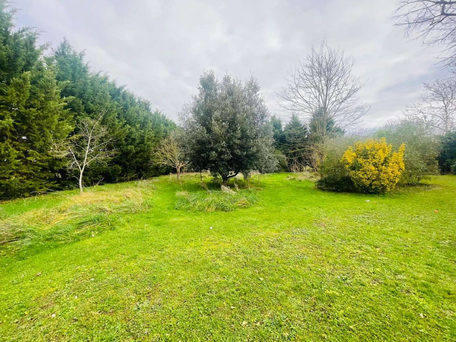  kaufen Haus Verniolle Ariège 2