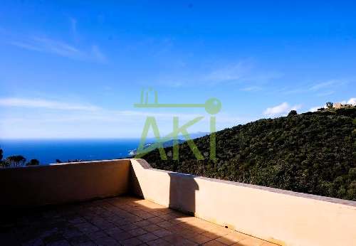 Villanova Corse-du-Sud Haus Bild 7012567