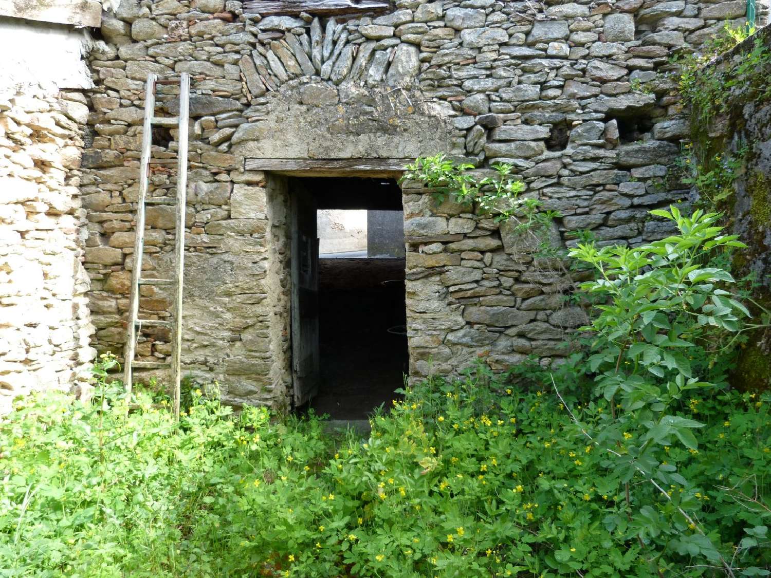  kaufen Haus Villemagne Aude 7