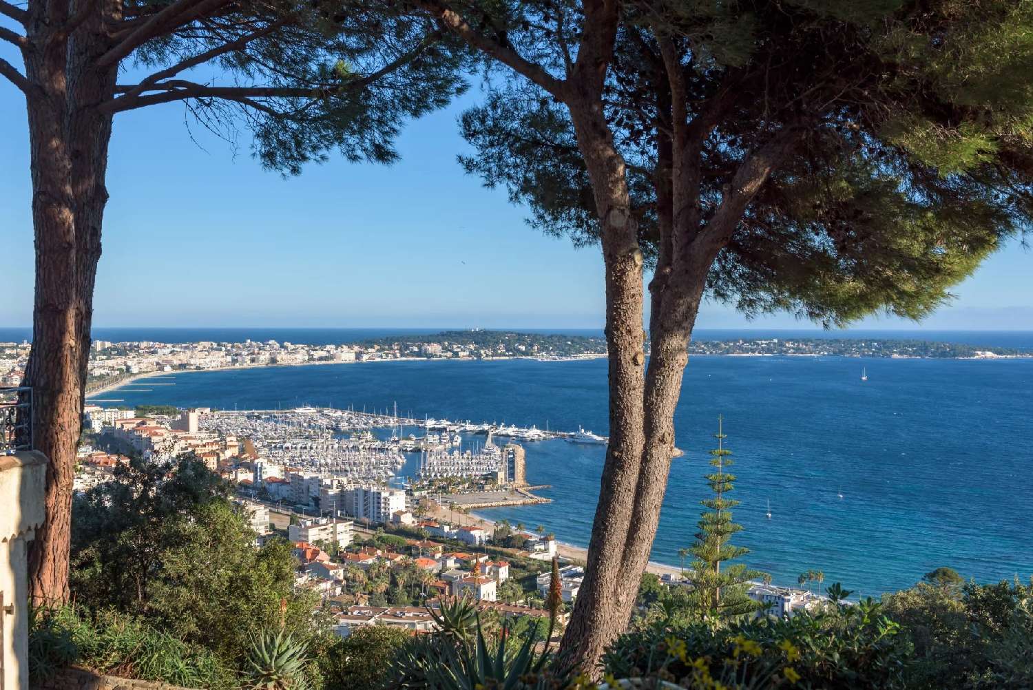  kaufen Villa Cannes Alpes-Maritimes 1