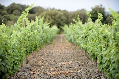 Faugères Hérault Villa Bild 7006686