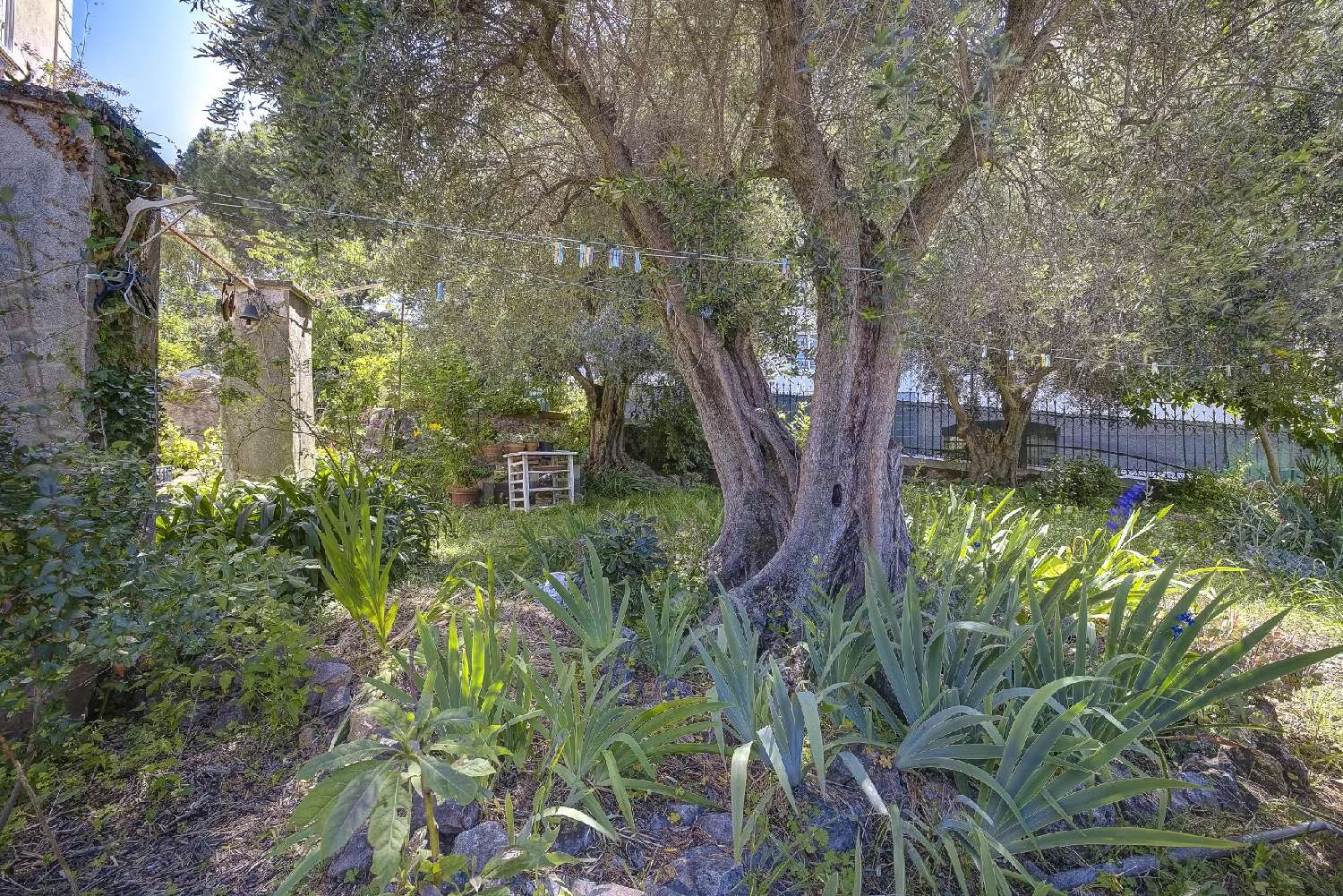  kaufen Villa Le Cannet Alpes-Maritimes 2
