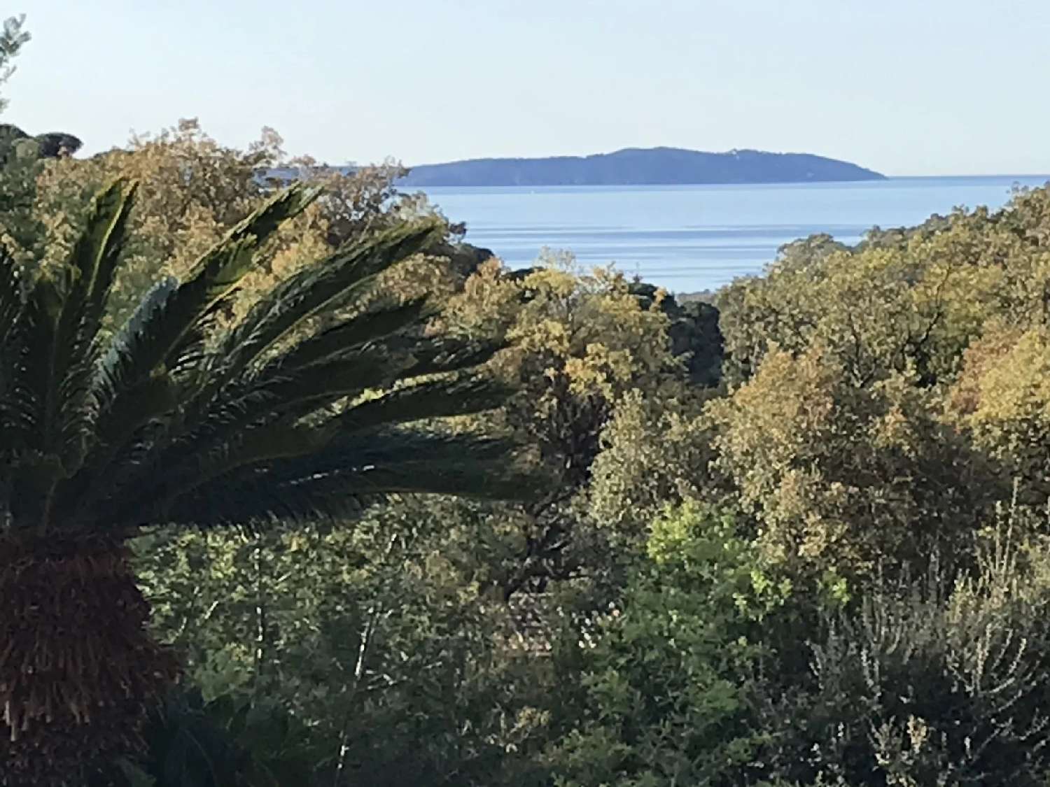  kaufen Villa Le Lavandou Var 3