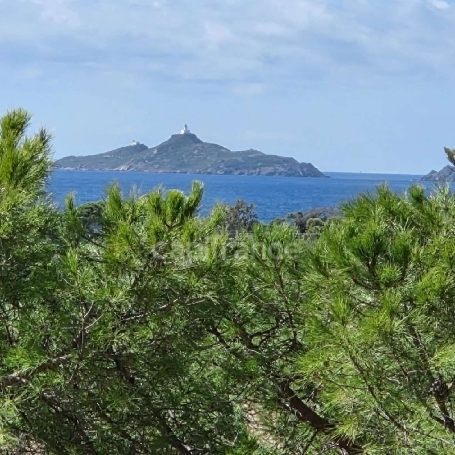  en venta apartamento Ajaccio Corse-du-Sud 8