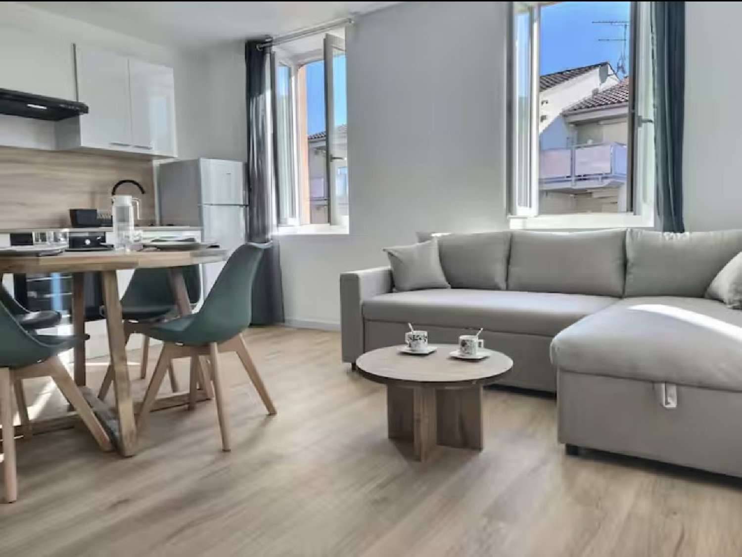 te koop appartement Albi Tarn 1