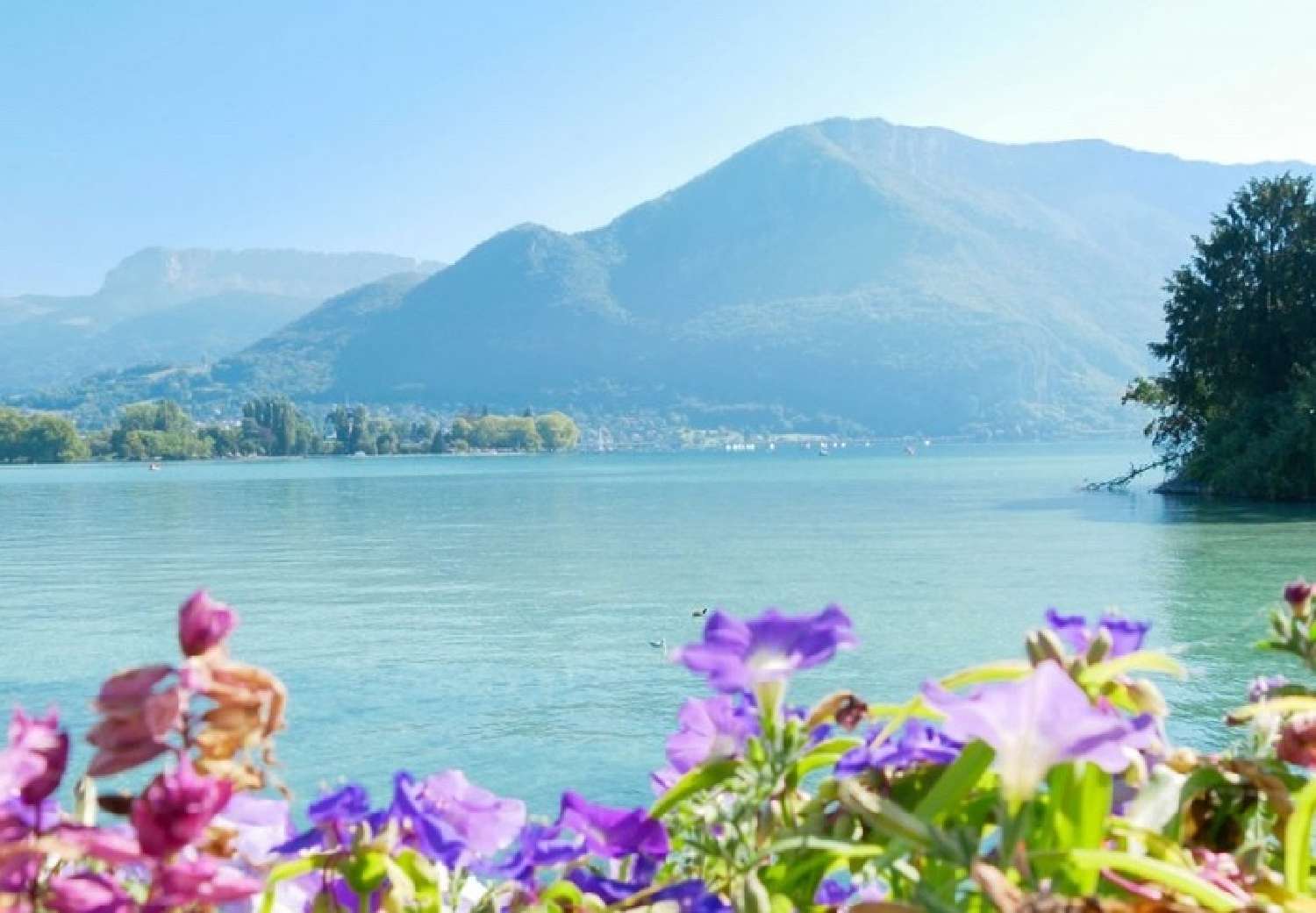  en venta apartamento Annecy Haute-Savoie 2