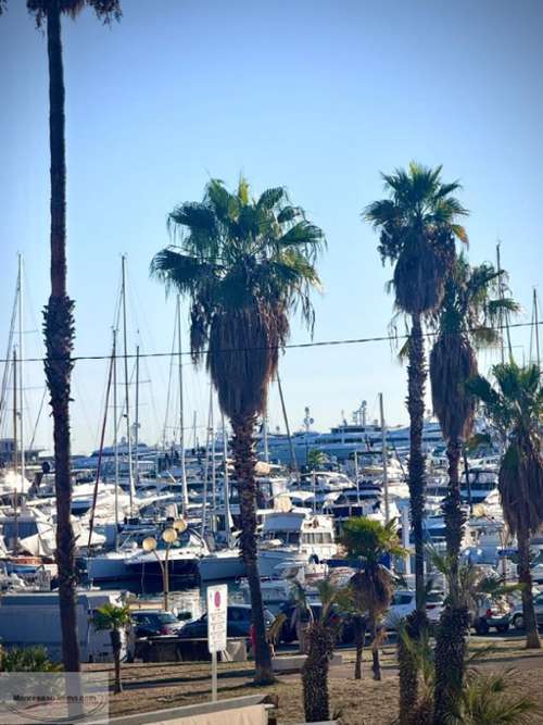 Antibes Alpes-Maritimes appartement foto 7158066