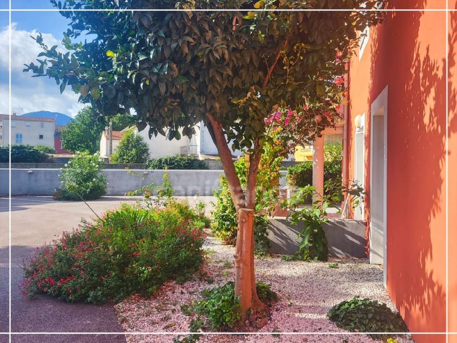  te koop appartement Argelès-sur-Mer Pyrénées-Orientales 1
