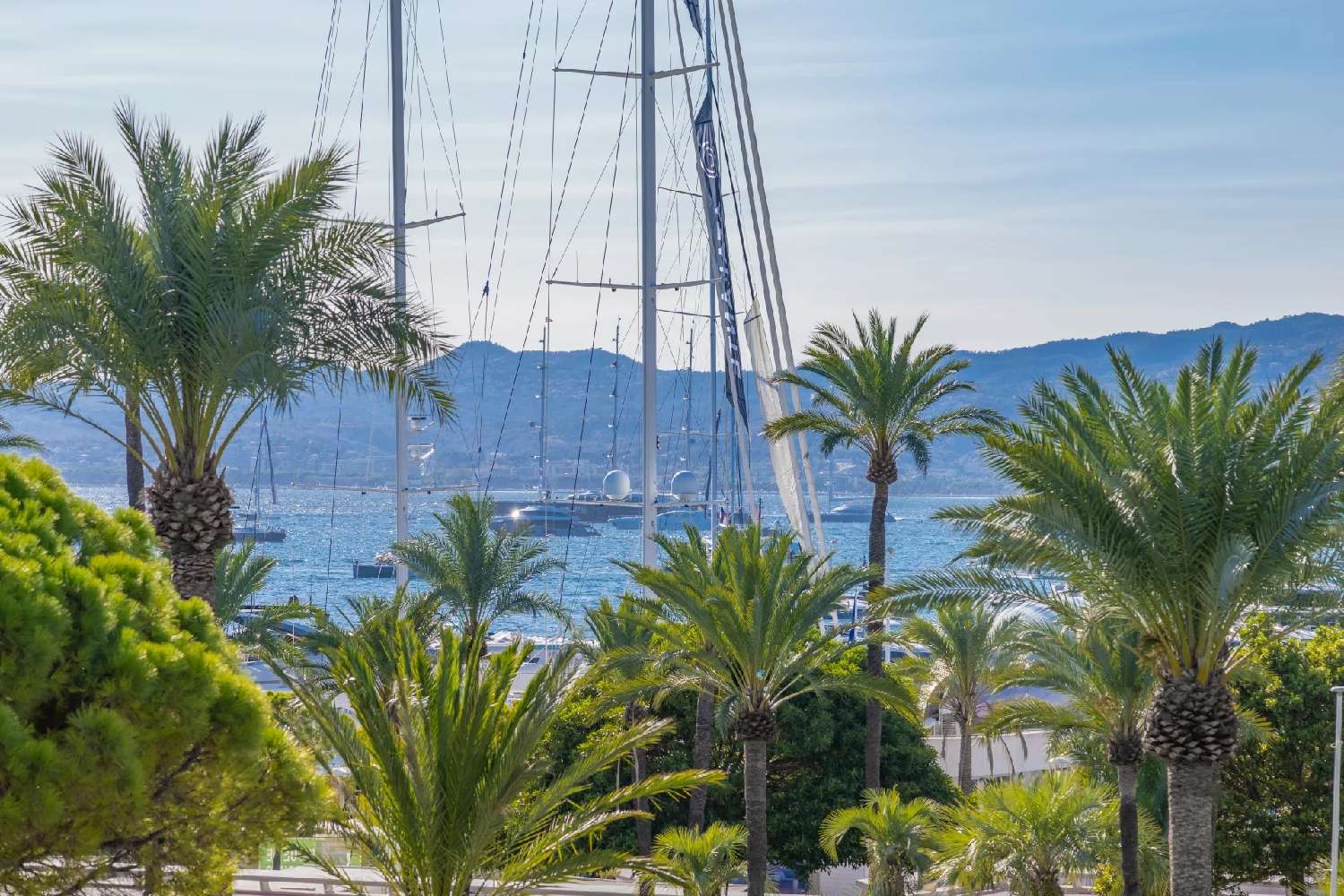  à vendre appartement Cannes Alpes-Maritimes 2