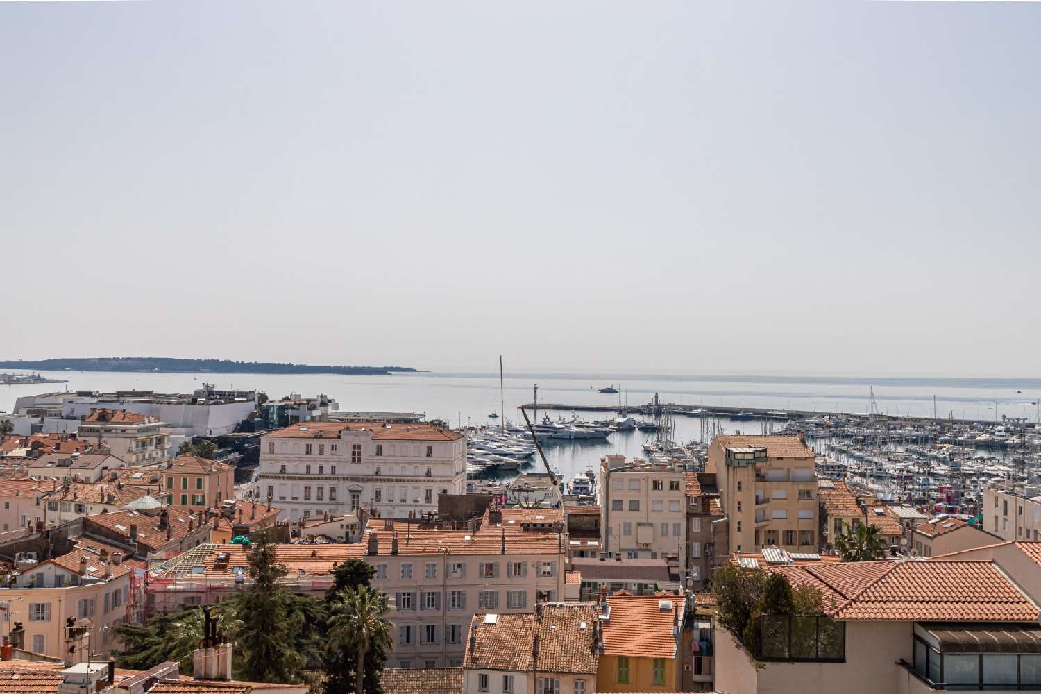  kaufen Wohnung/ Apartment Cannes Alpes-Maritimes 8
