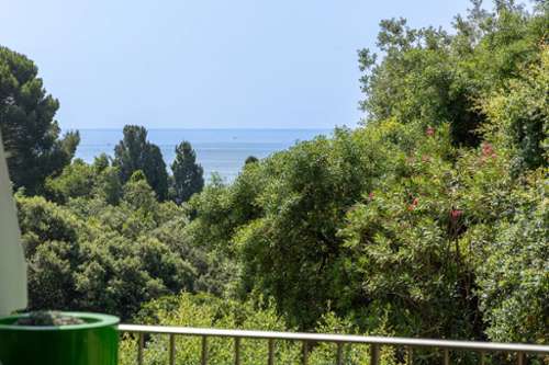 Cannes Alpes-Maritimes Wohnung/ Apartment Bild 7165924