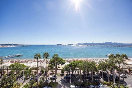 Cannes Alpes-Maritimes Wohnung/ Apartment Bild 7165942