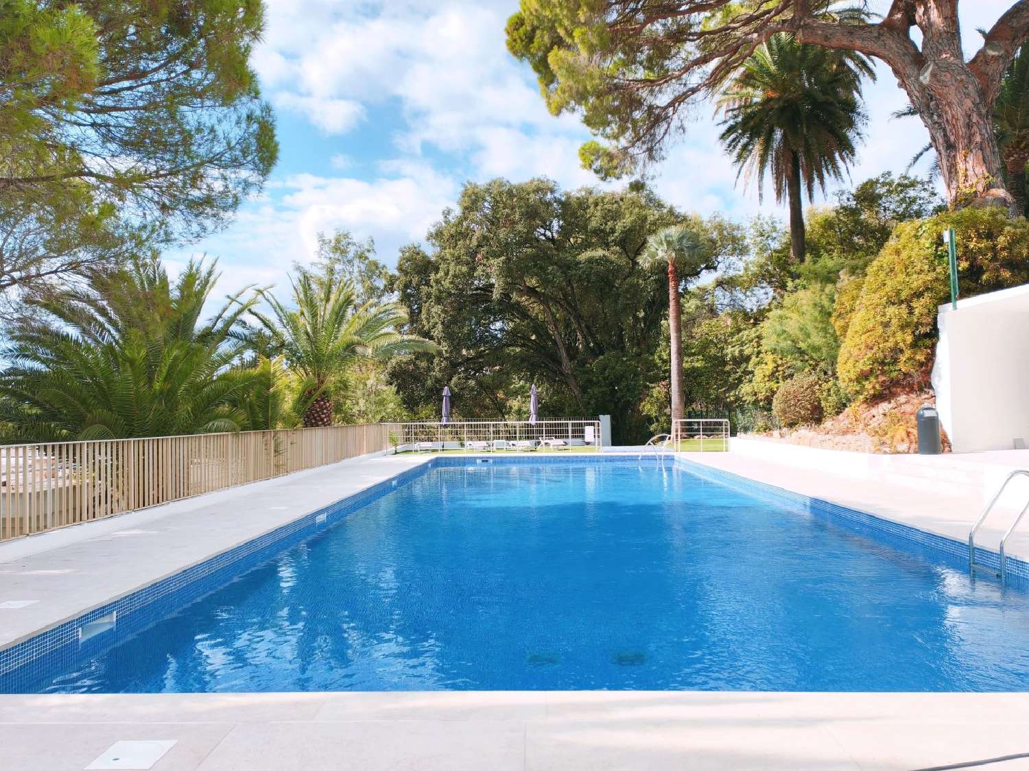  te koop appartement Cannes Alpes-Maritimes 1