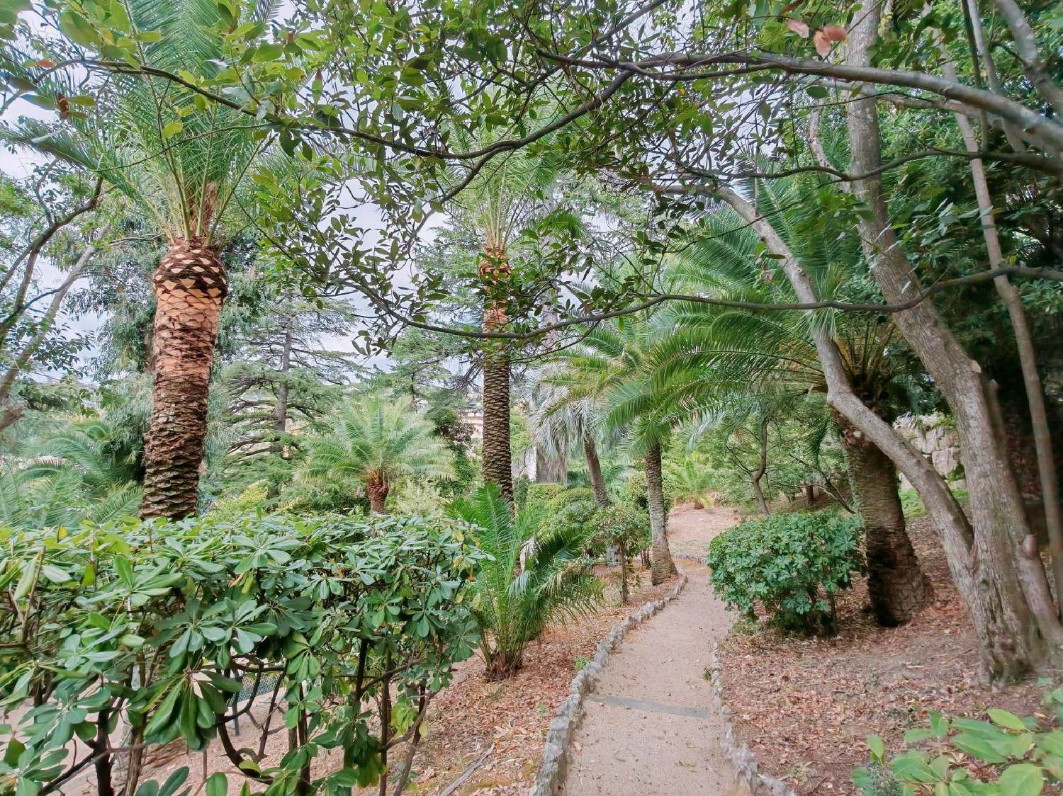  te koop appartement Cannes Alpes-Maritimes 4