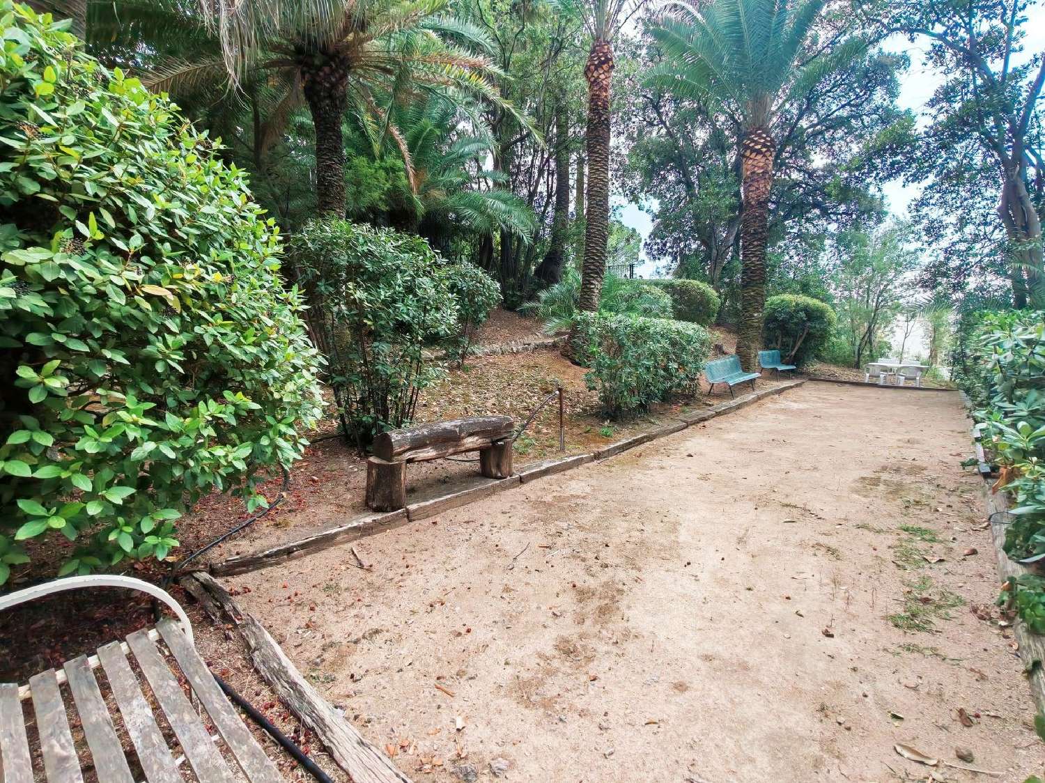  te koop appartement Cannes Alpes-Maritimes 5