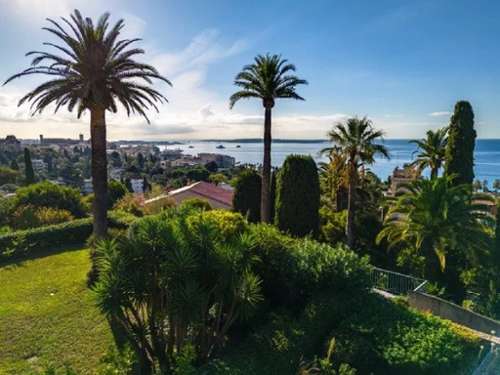 Cannes Alpes-Maritimes Wohnung/ Apartment Bild 7161860