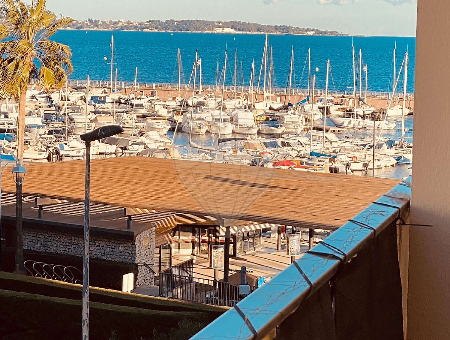  kaufen Wohnung/ Apartment Cannes Alpes-Maritimes 2