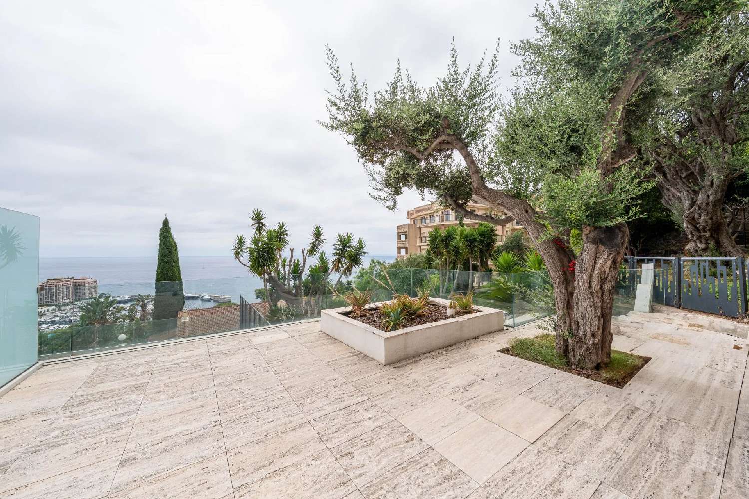  à vendre appartement Cap-d'Ail Alpes-Maritimes 2