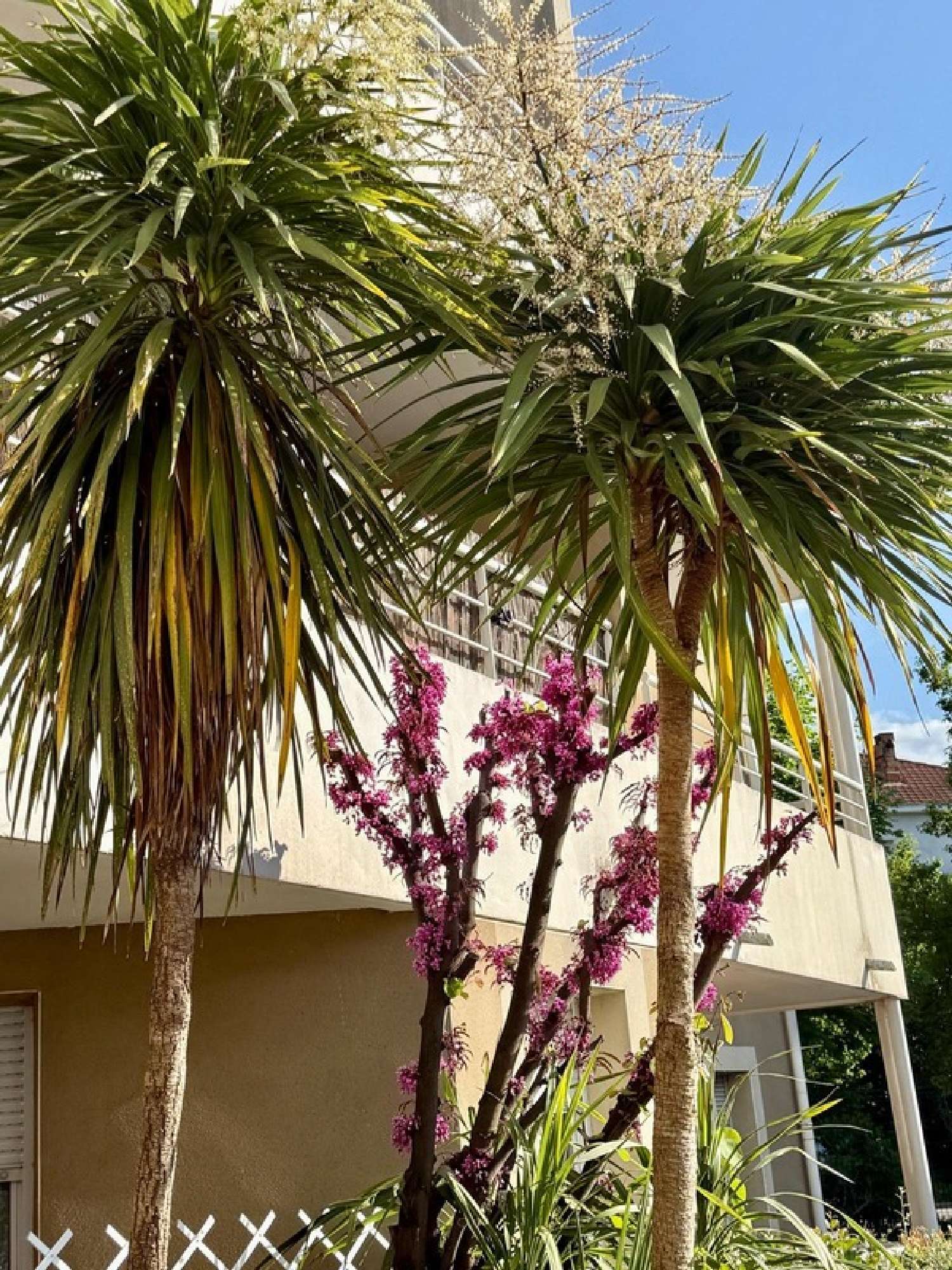  for sale apartment Carcassonne Aude 1