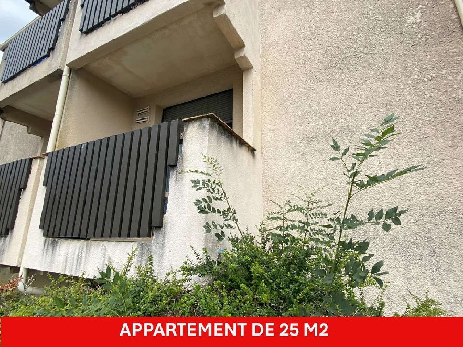  te koop appartement Cazaubon Gers 1