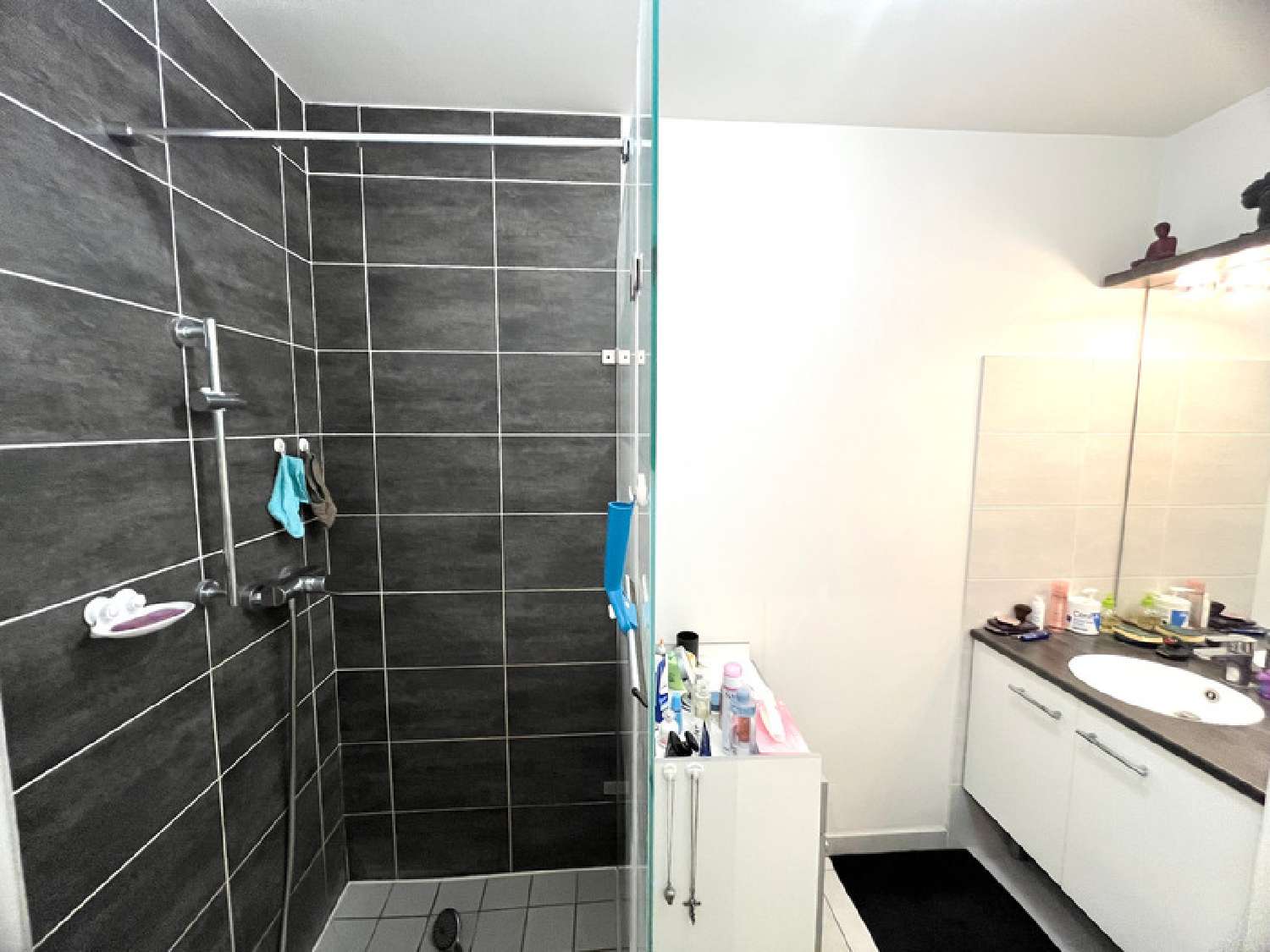  te koop appartement Chens-sur-Léman Haute-Savoie 5