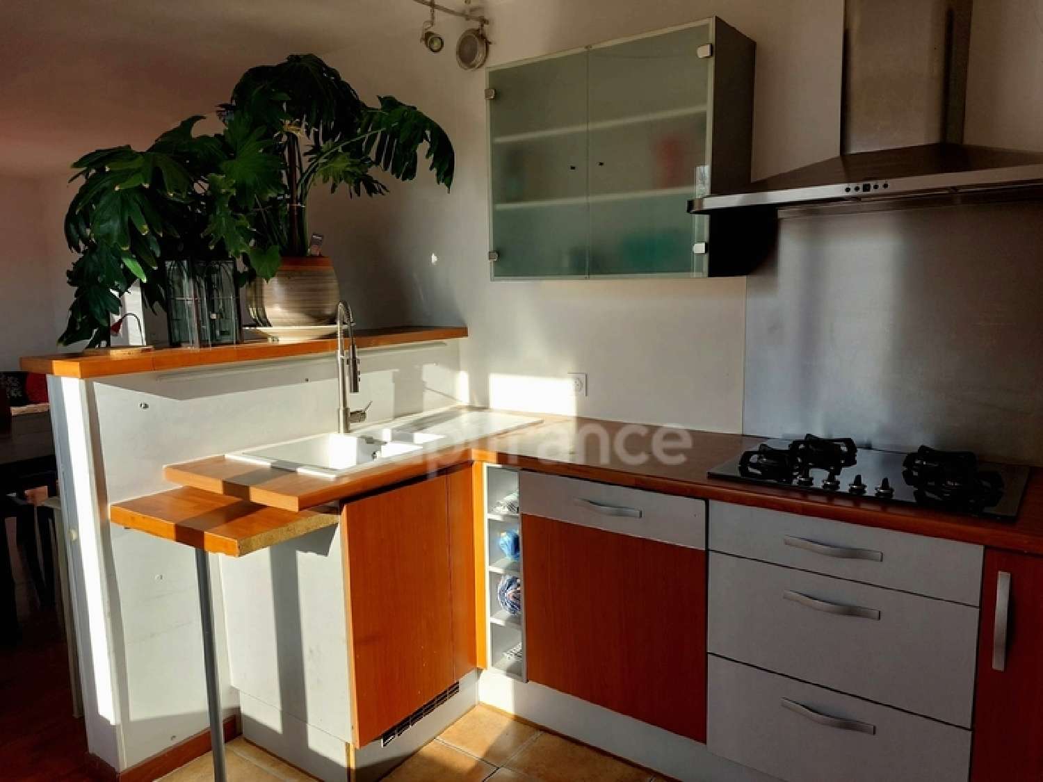  te koop appartement Combs-la-Ville Seine-et-Marne 4