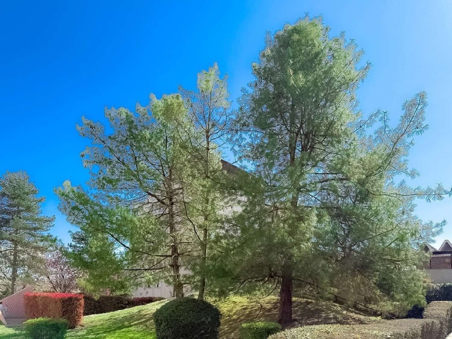 for sale apartment Deuil-la-Barre Val-d'Oise 4