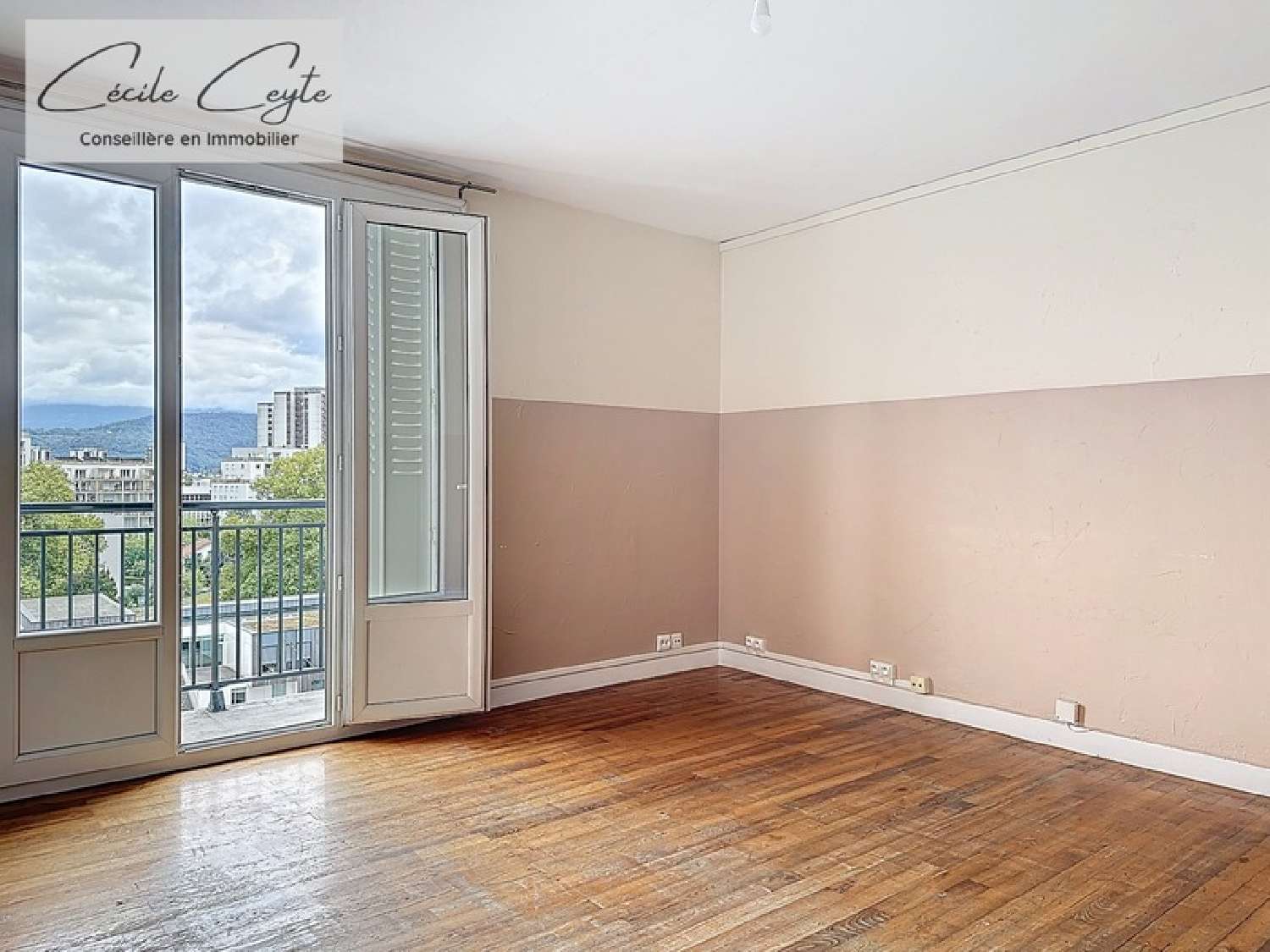 te koop appartement Grenoble 38100 Isère 2