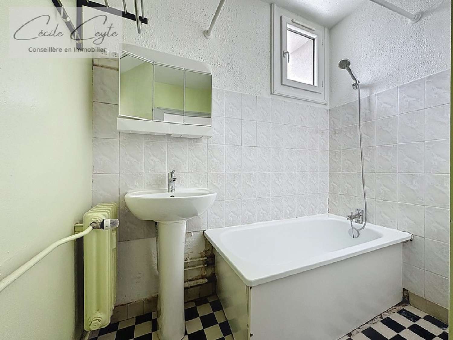 te koop appartement Grenoble 38100 Isère 4