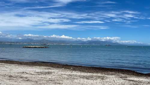 Juan-les-Pins Alpes-Maritimes appartement foto 7150051