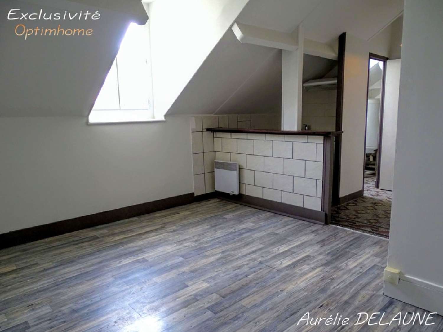 te koop appartement Juvisy-sur-Orge Essonne 2