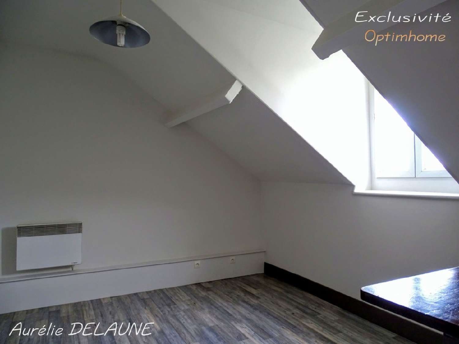 te koop appartement Juvisy-sur-Orge Essonne 4
